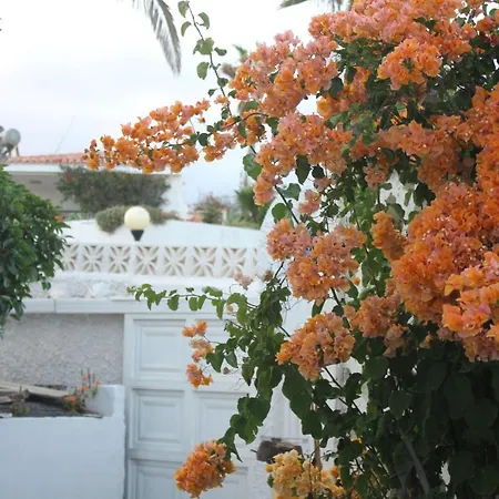 Con Piscina Privada De 2 Dormitorios, Terrazas, Jardin Y Barbacoa - Casa Momo Poris de Abona